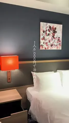 ✈️Yuika🍉naviのTikTok投稿