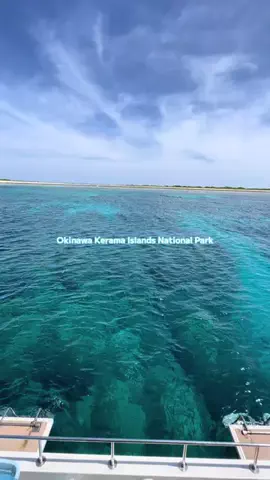MIMIMのTikTok投稿