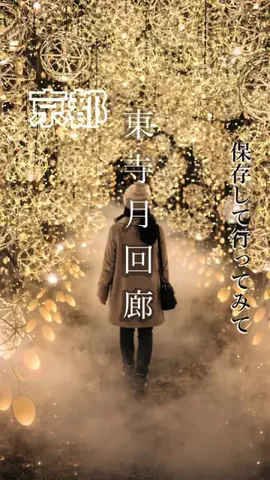 なおちぇん（グルメと旅）のTikTok投稿