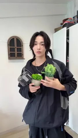間宮けい。のTikTok投稿