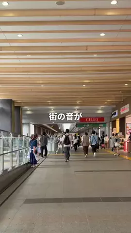 にーやのTikTok投稿