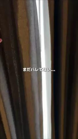 kiki_noo7のTikTok投稿