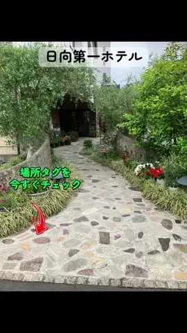 すずめのTikTok投稿