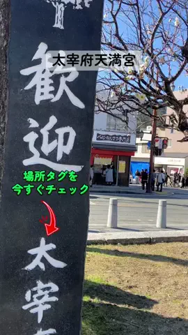 すずめのTikTok投稿