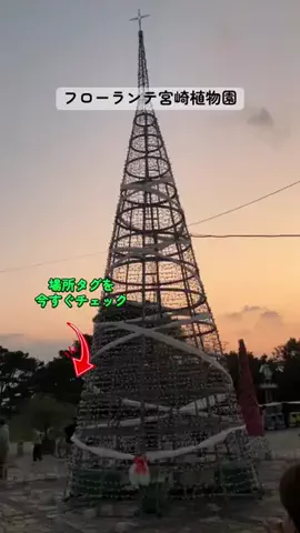 すずめのTikTok投稿
