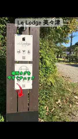 すずめのTikTok投稿