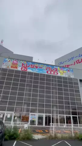 ぷぷぷのTikTok投稿