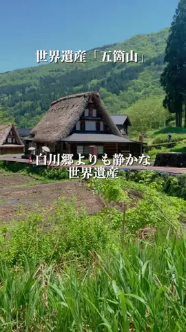しろさんぽのTikTok投稿