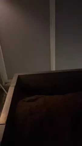 湯島ちょこのTikTok投稿