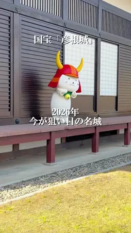 しろさんぽのTikTok投稿