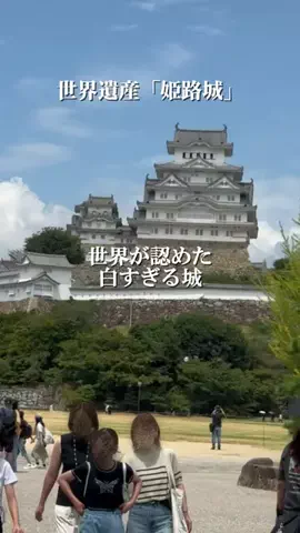 しろさんぽのTikTok投稿