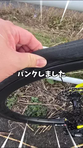こたらん/さぎりこのロードバイクchのTikTok投稿