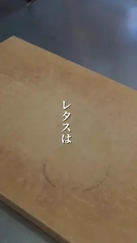 筒井ちゃんのTikTok投稿
