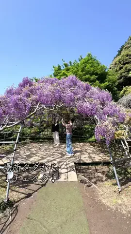 JPN旅する配達人ふぅ🐒🏔️🥾のTikTok投稿