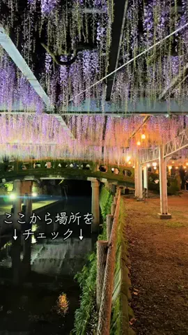 JPN旅する配達人ふぅ🐒🏔️🥾のTikTok投稿