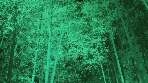 ひか｜大阪発おでかけのTikTok投稿