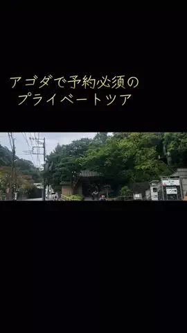 まるマン(横濱まるfeat.マングース)のTikTok投稿