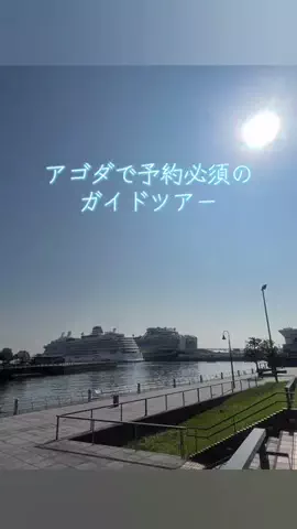 まるマン(横濱まるfeat.マングース)のTikTok投稿