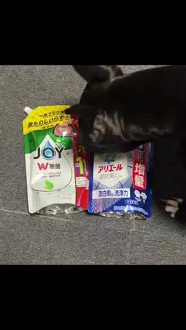 8月27日木21時半周年バトル🥊けい🐶九州産のTikTok投稿