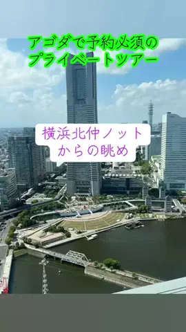 まるマン(横濱まるfeat.マングース)のTikTok投稿