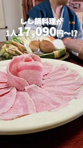 TikTok旅メモのTikTok投稿