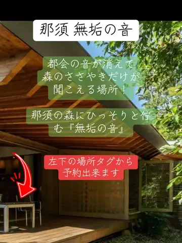 Skydaruma(ダルちゃん)のTikTok投稿
