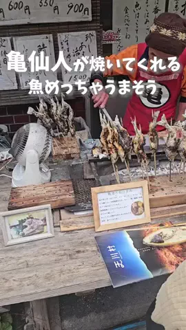 TikTok旅メモのTikTok投稿
