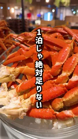 もじゃたび⌇静岡発✈︎旅行・観光・ホテルのTikTok投稿