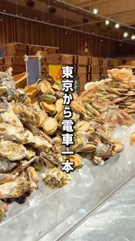 もじゃたび⌇静岡発✈︎旅行・観光・ホテルのTikTok投稿
