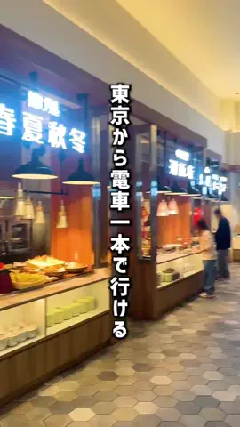 もじゃたび⌇静岡発✈︎旅行・観光・ホテルのTikTok投稿