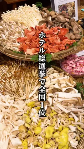 もじゃたび⌇静岡発✈︎旅行・観光・ホテルのTikTok投稿