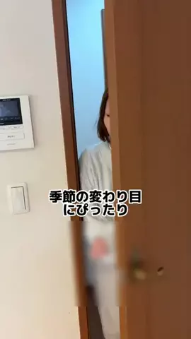 こにょひで夫婦🌺✈️のTikTok投稿