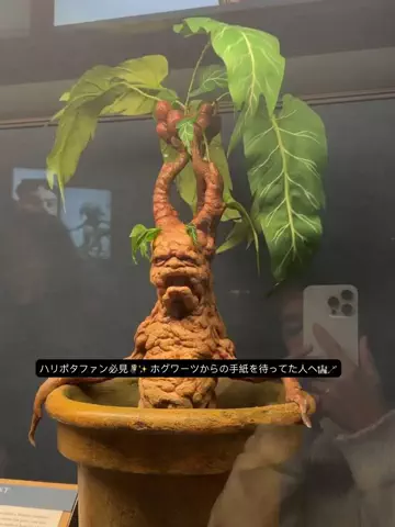 エリーちゃん♡のTikTok投稿