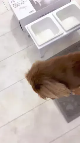 kuku.yoyo_boyのTikTok投稿