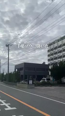 千葉グルメ／CHIBA SELECTのTikTok投稿