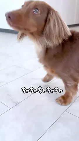 kuku.yoyo_boyのTikTok投稿