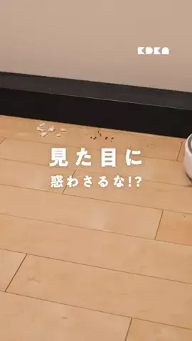 家電彼女のTikTok投稿