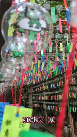 ＪＪのおでかけのTikTok投稿