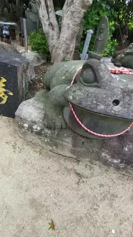 ＪＪのおでかけのTikTok投稿