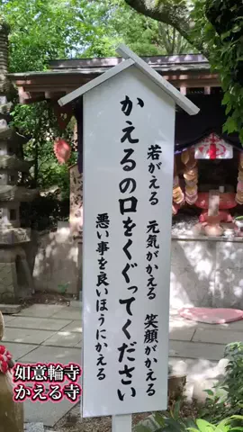 ＪＪのおでかけのTikTok投稿