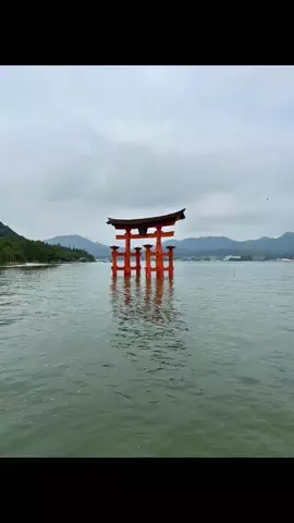 ひなちんのTikTok投稿