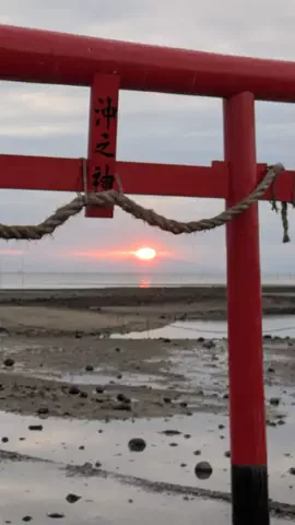 ＪＪのおでかけのTikTok投稿