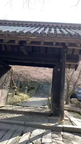 ＪＪのおでかけのTikTok投稿