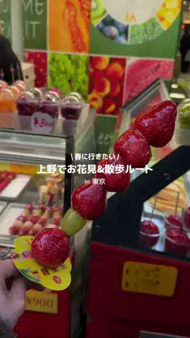 hotaru ｜地方･自然旅好きOLのTikTok投稿
