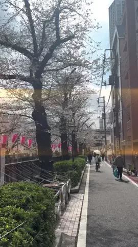 一番くじ調査団⭐️ジョジョ社長のTikTok投稿