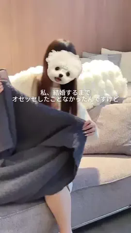 すーちゃんෆのTikTok投稿