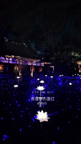高﨑利明のTikTok投稿