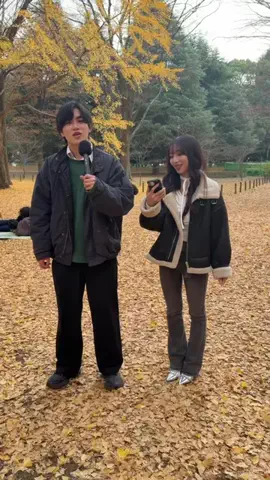 覗き見グルメツアーのTikTok投稿