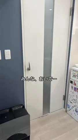 tomoのTikTok投稿