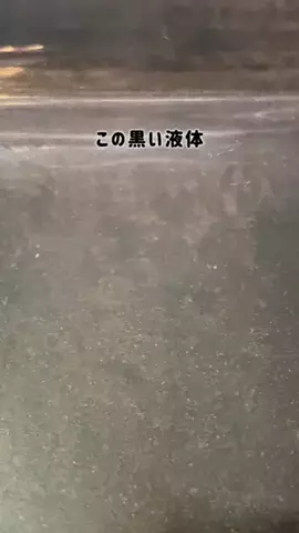 うかちゃんのTikTok投稿